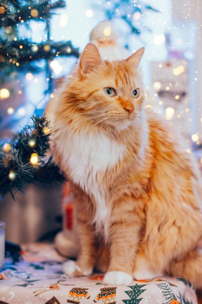 Photograph by Ольга