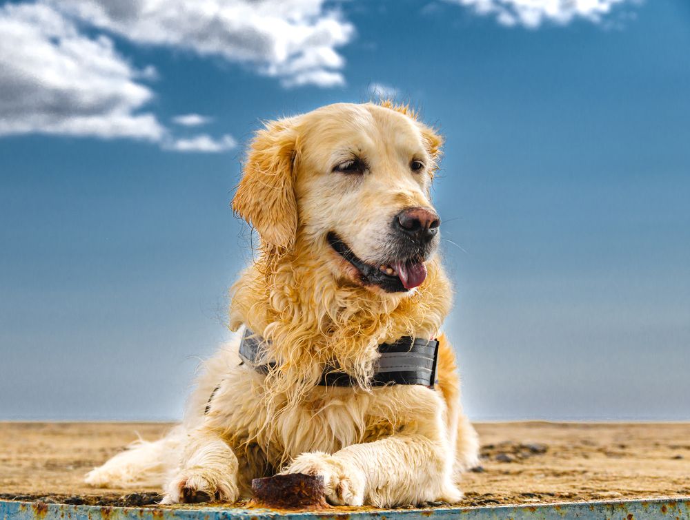 Photograph by Gennadiy Slezkin