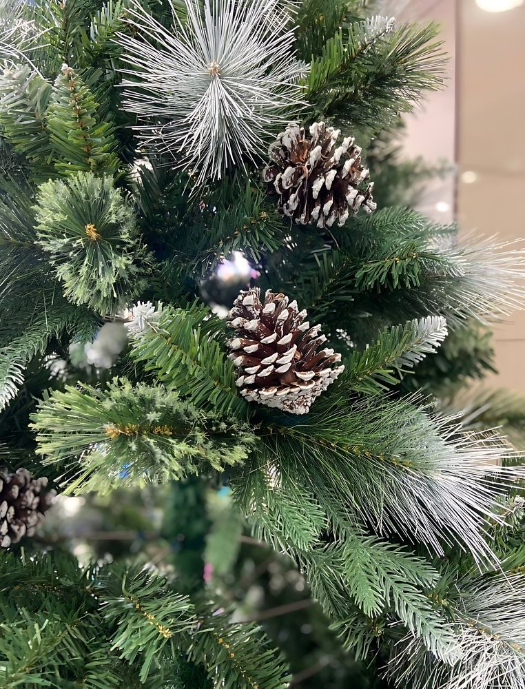 Фотография автора Татьяна Савранчук