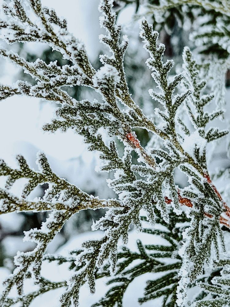 Photograph by Татьяна Михайловна