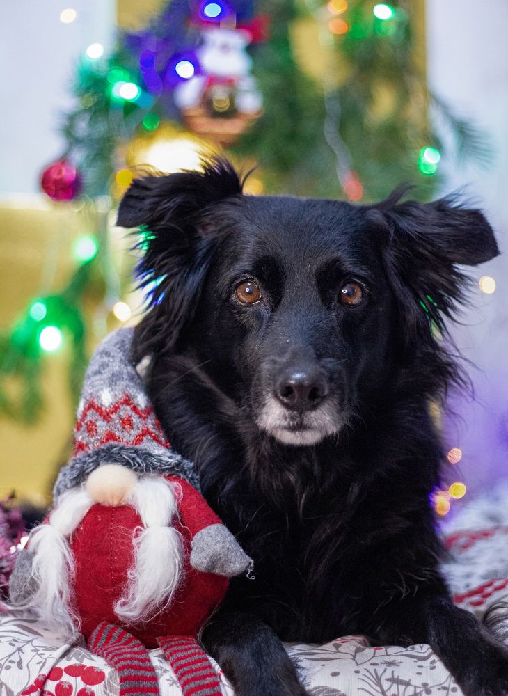 Photograph by Наташа Шибаева