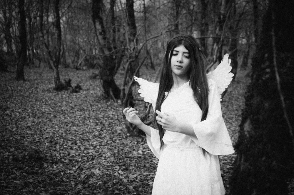 Photograph by hanieh karimi