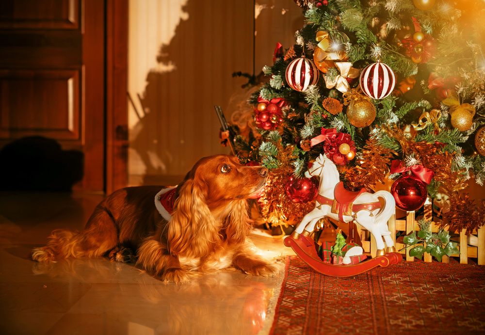 Photograph by Anna Sourny