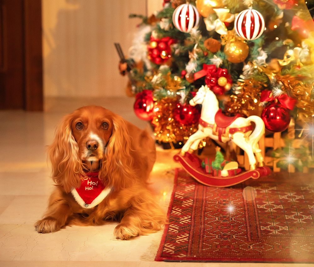 Photograph by Anna Sourny