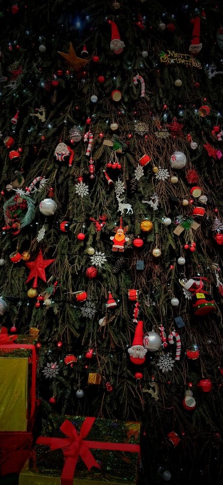 Фотография автора Mahdi Mohammadi