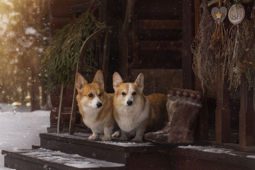 Photograph by Татьяна Тихомирова