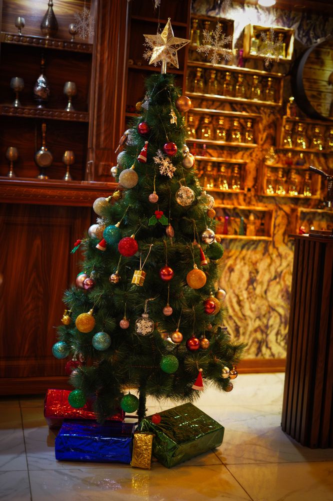 Photograph by Abolfazl Shayani