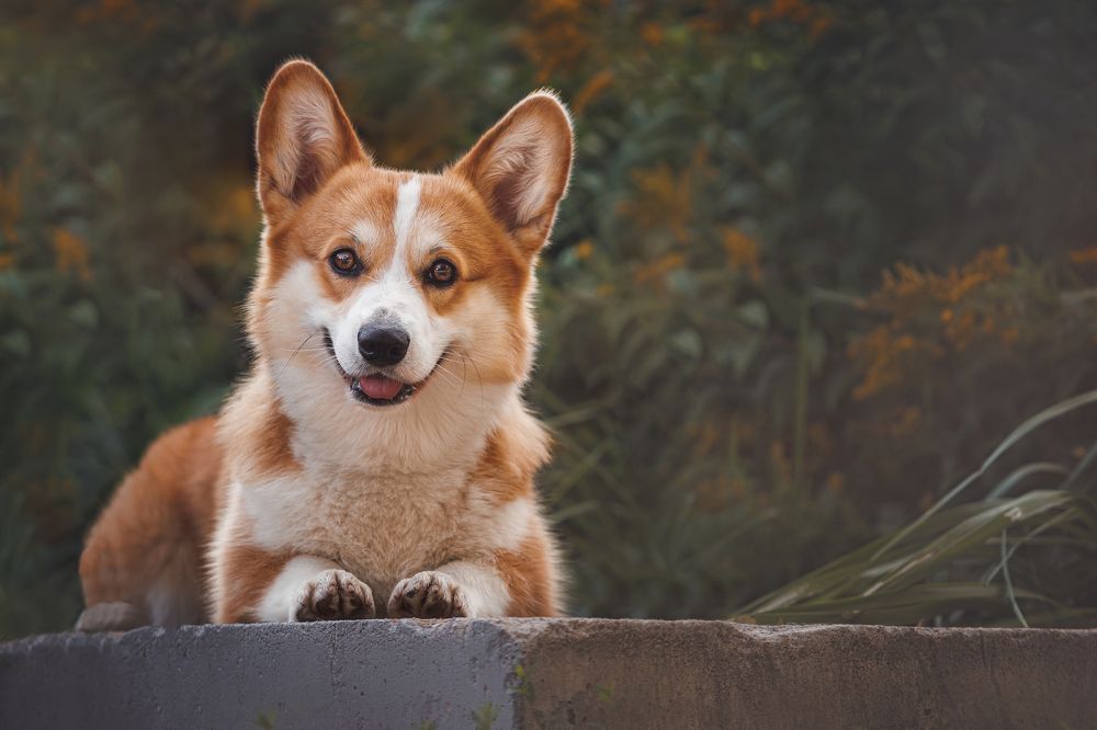 Photograph by Яна Нарбутович