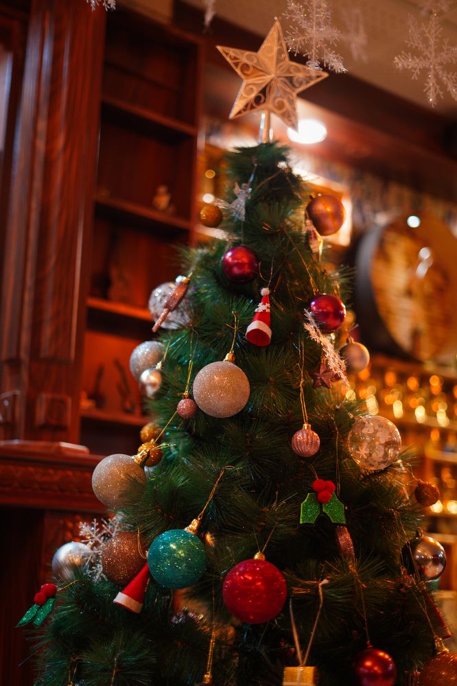 Photograph by Abolfazl Shayani