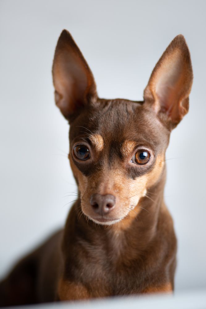 Взгляд в душу