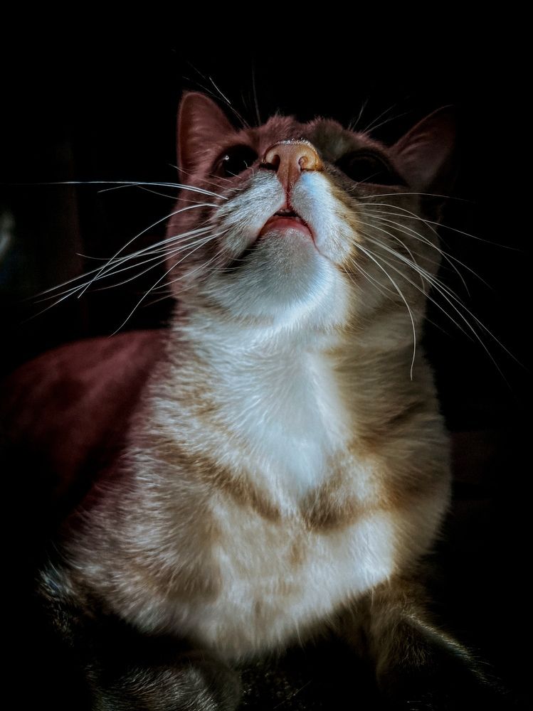 Photograph by Дарья Эглите