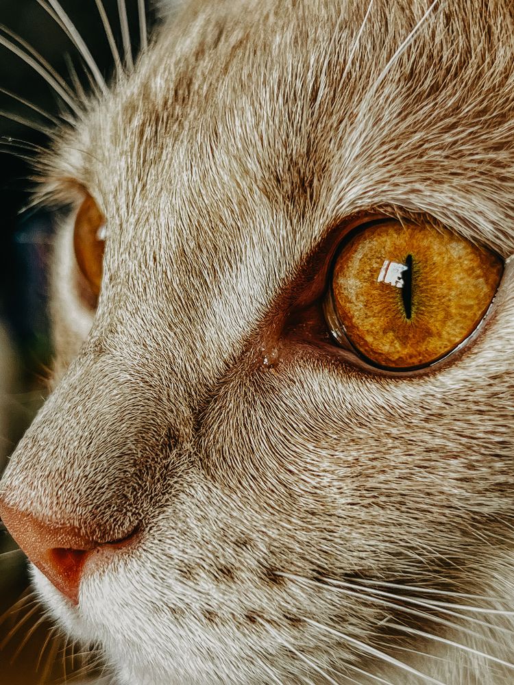 Photograph by Дарья Эглите