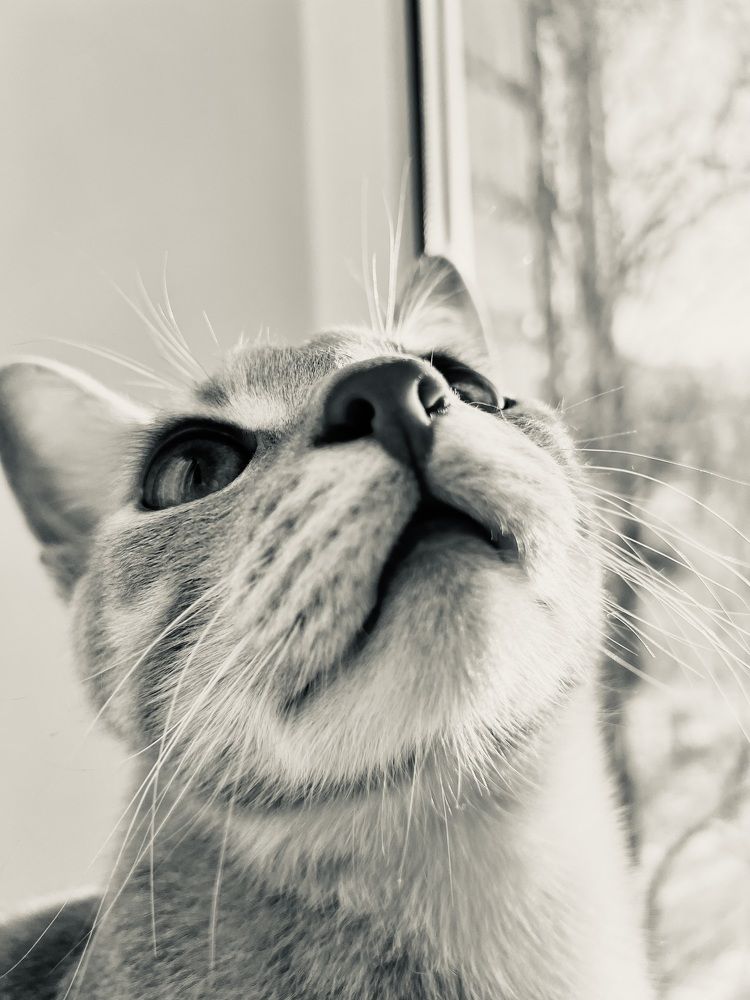 Photograph by Дарья Эглите