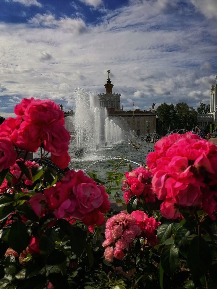 Photograph by Анжелика