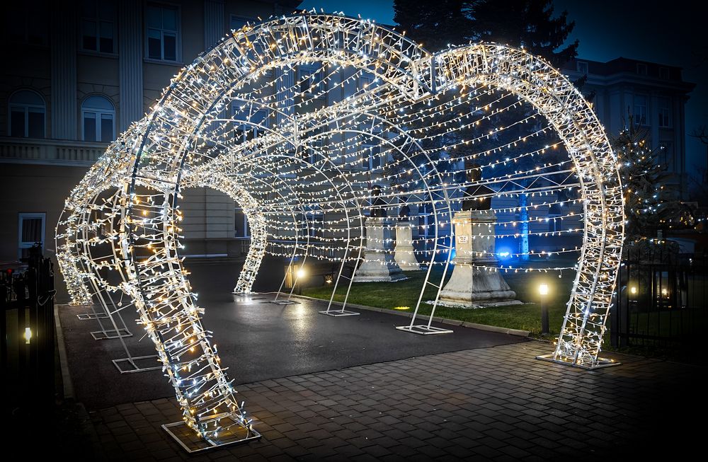 Photograph by Grădinaru Catalin