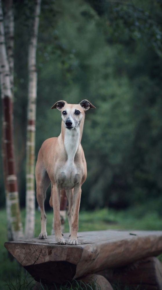 Photograph by Татьяна Федченко