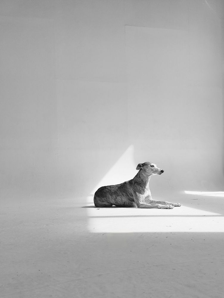 Photograph by Татьяна Федченко