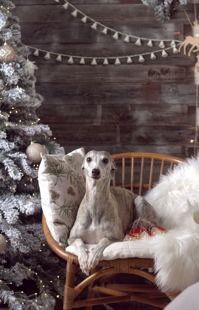 Photograph by Татьяна Федченко