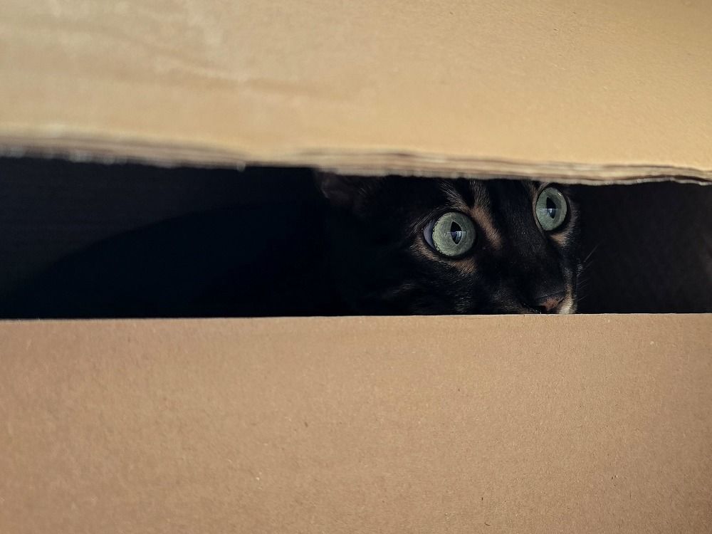 Photograph by Анна Семенова