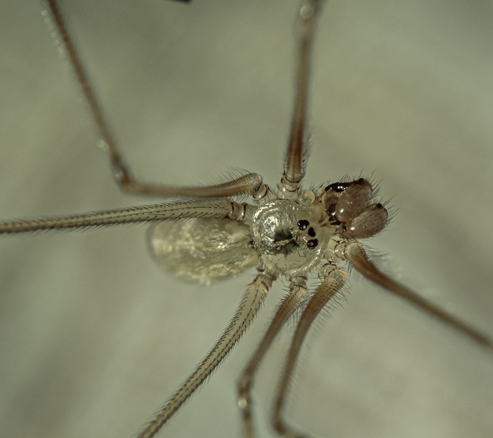 Photograph by Олег Китаев