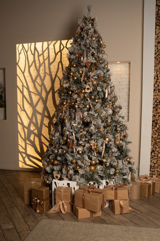 Photograph by Olesya Vladimirova