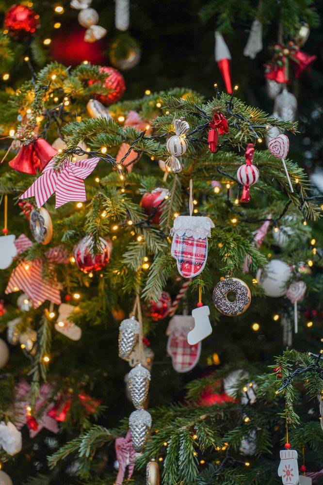 Photograph by Olesya Vladimirova