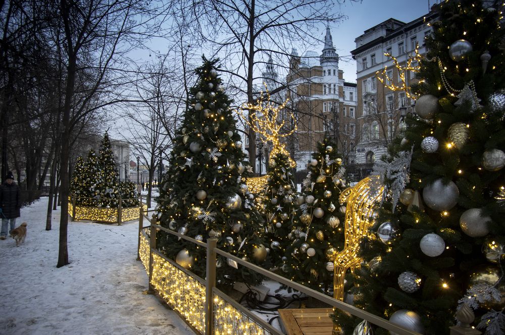 Photograph by Marina Lucenko