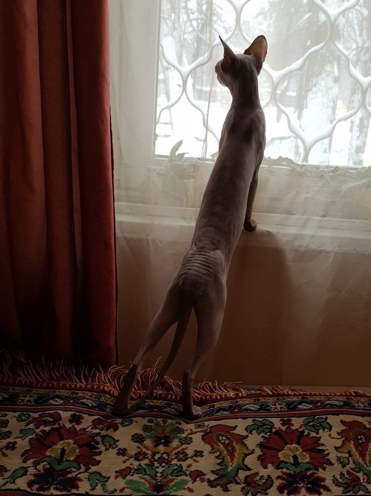 Photograph by Nataliya Kalinina