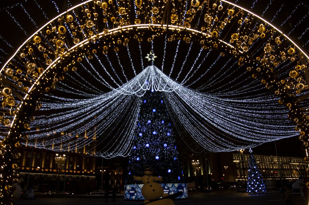 Photograph by Marina Lucenko