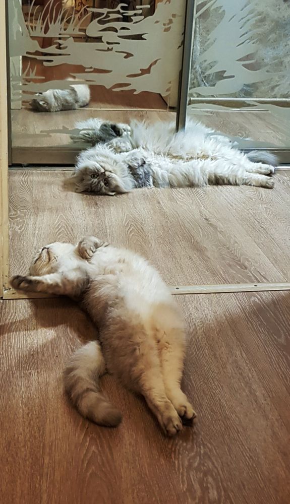 Photograph by Nataliya Kalinina