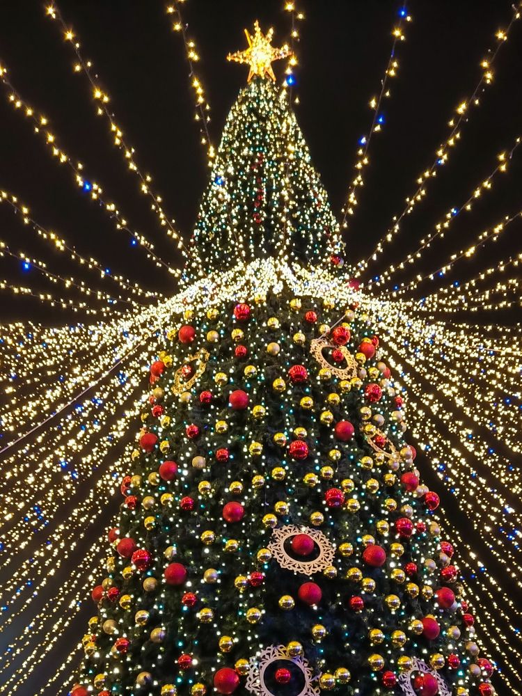 Photograph by Олеся Бронзова