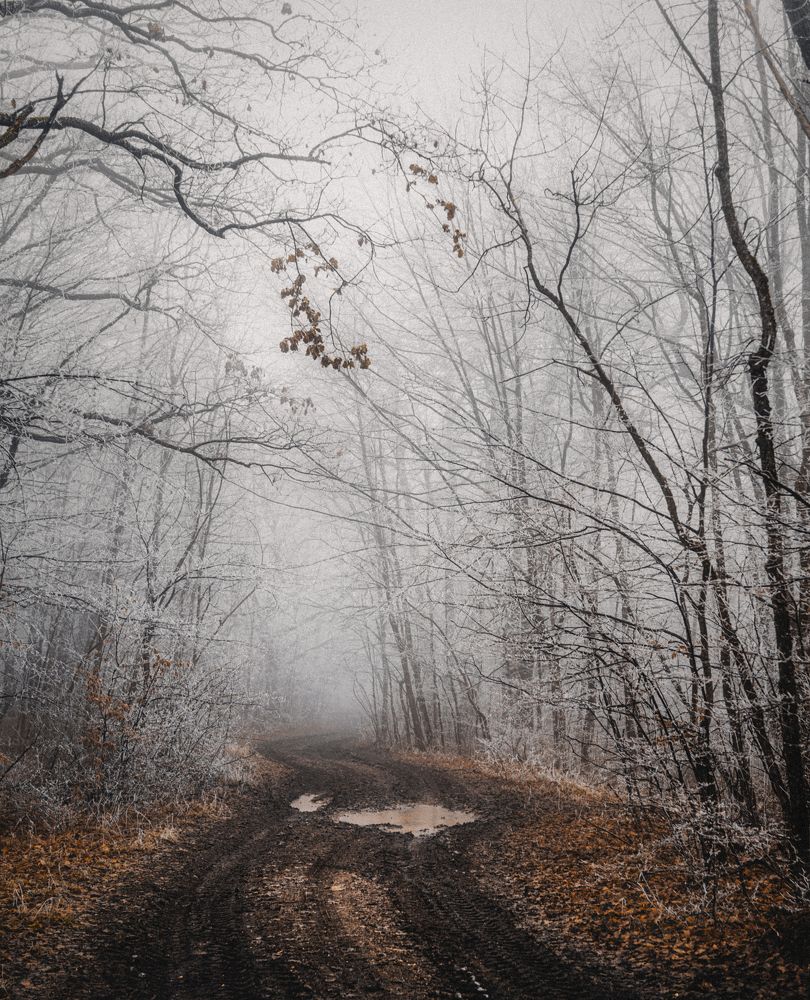 Фотография автора Oleg Suhenko