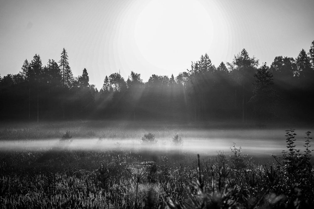 Photograph by Olesya Vladimirova