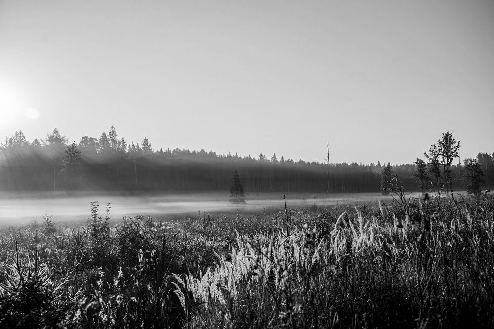 Photograph by Olesya Vladimirova