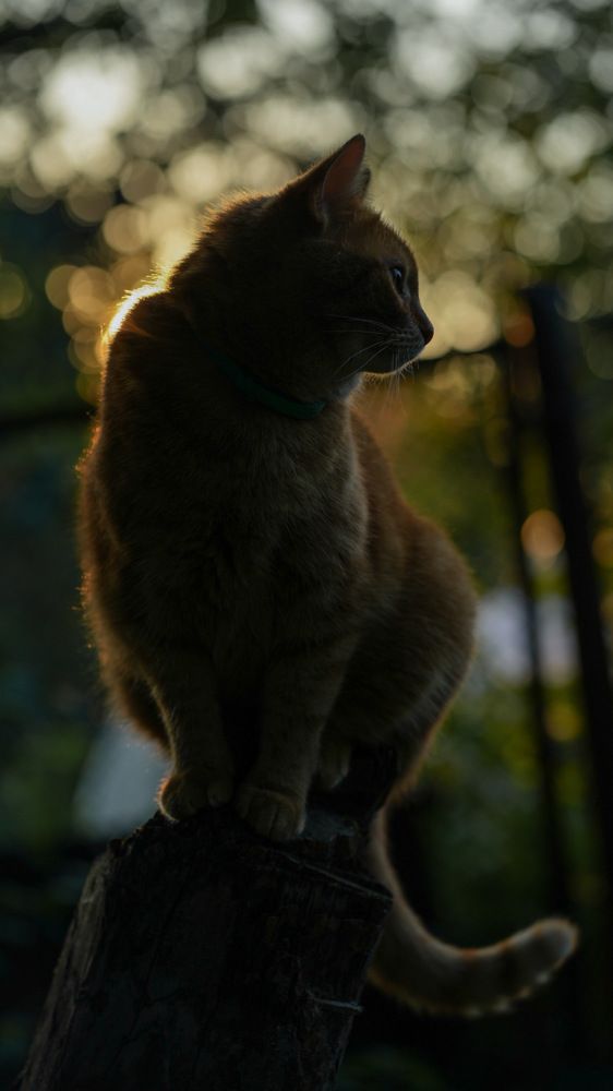 Photograph by Olesya Vladimirova