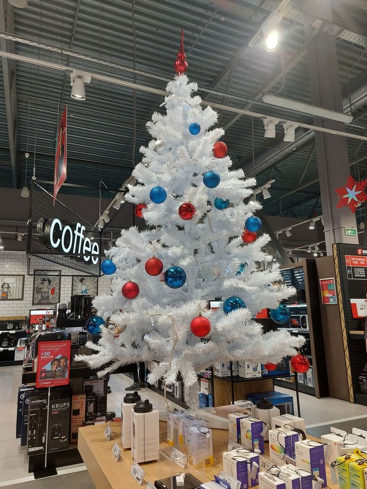 Photograph by ЭЛЬМИРА  ИСМАИЛОВА