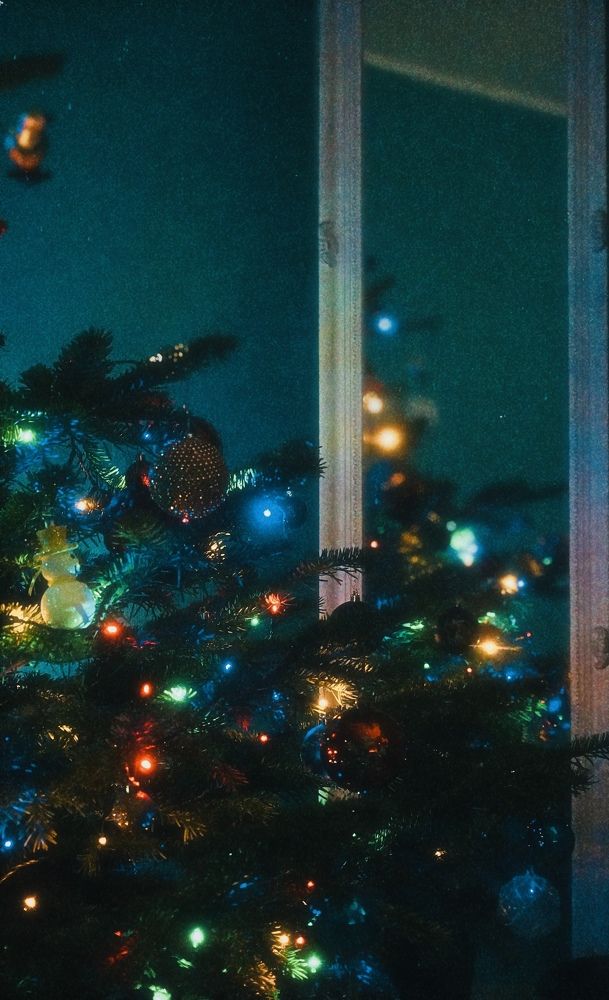 Photograph by Sergei Novikov