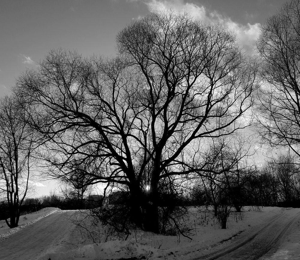 Photograph by Nataliya Kalinina