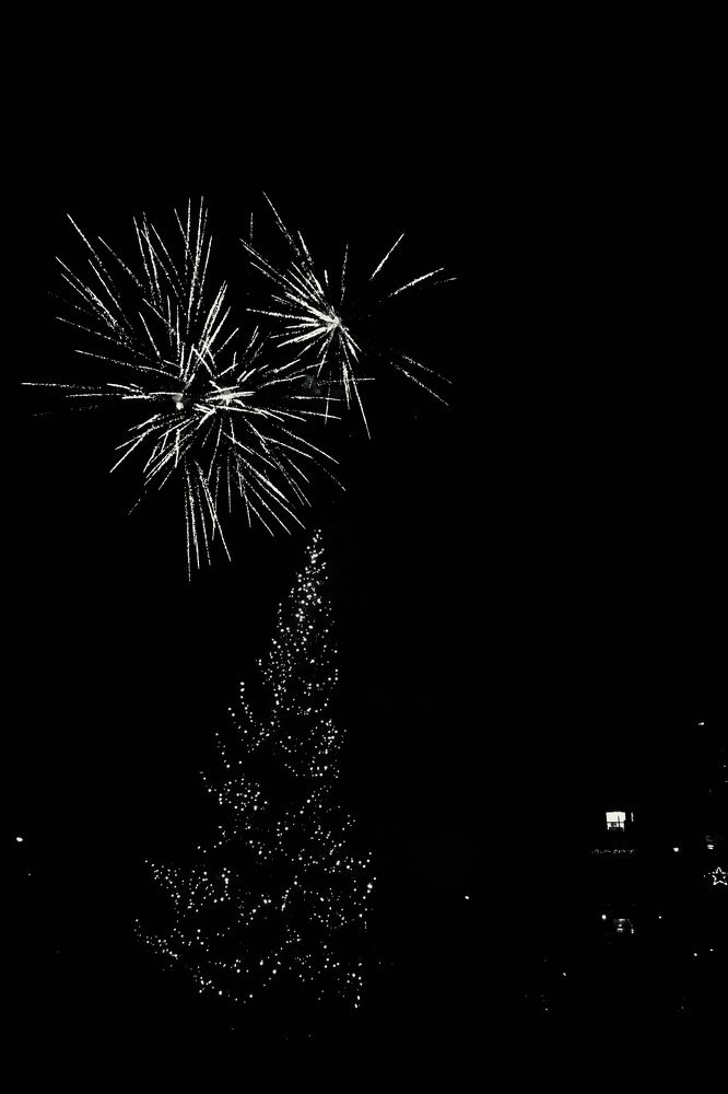 Photograph by Sergei Novikov