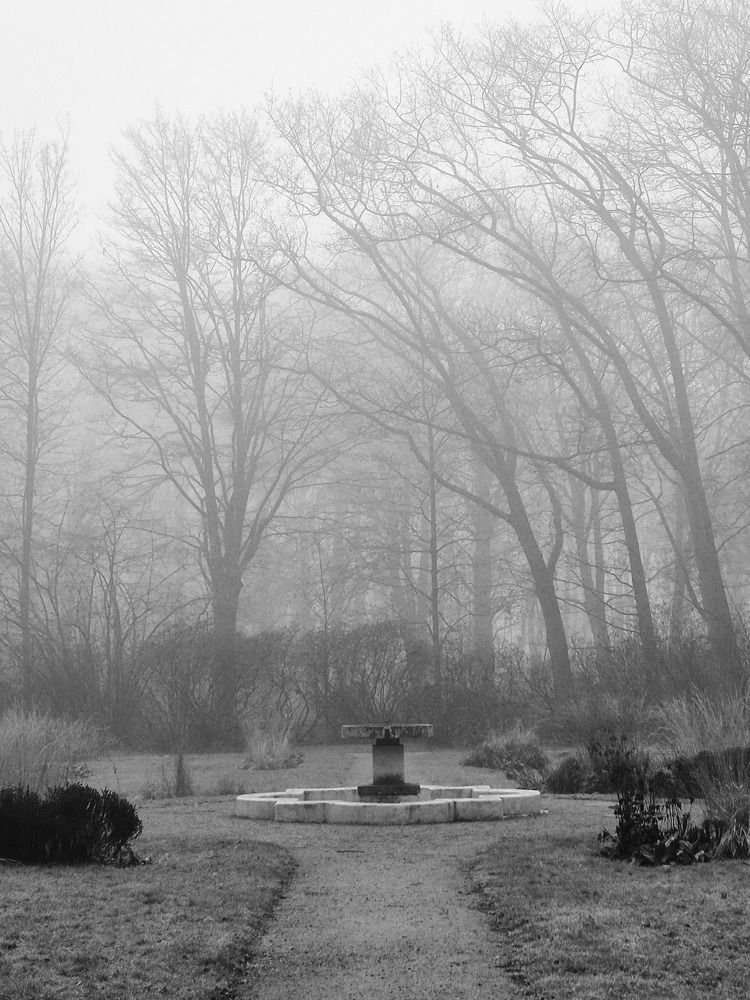 Фотография автора Cozma Mihaela