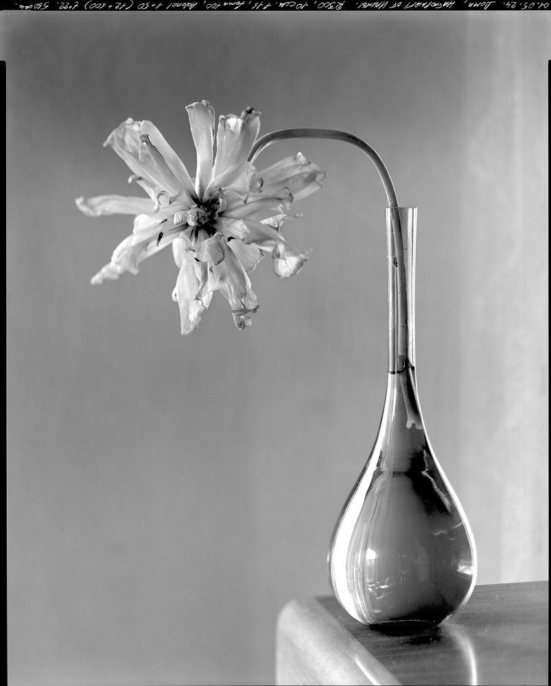 Photograph by Александр Кучин