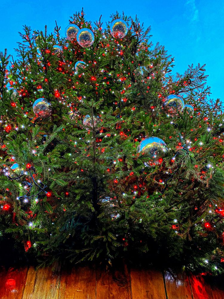 Photograph by Anya Lo