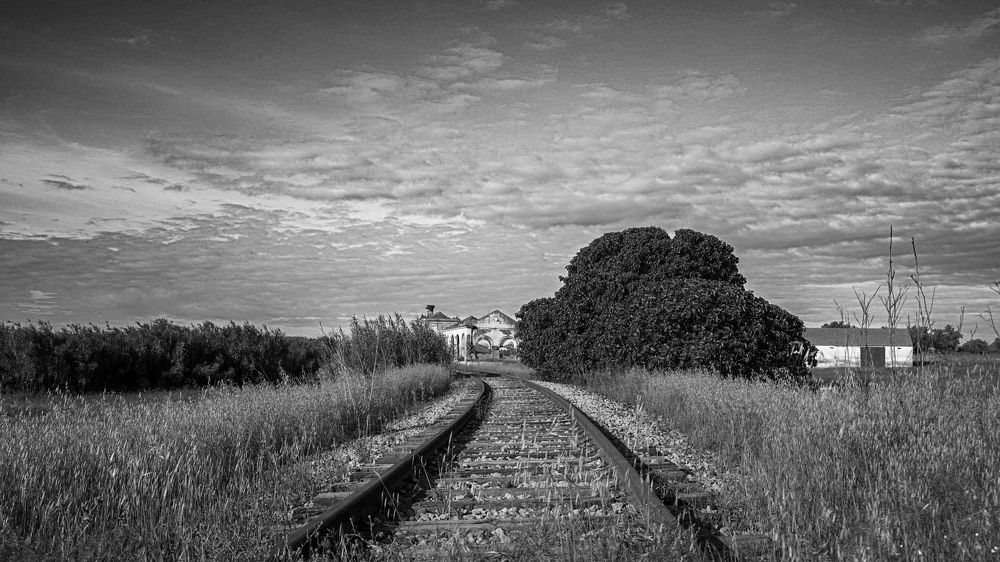 Фотография автора Jian Ma