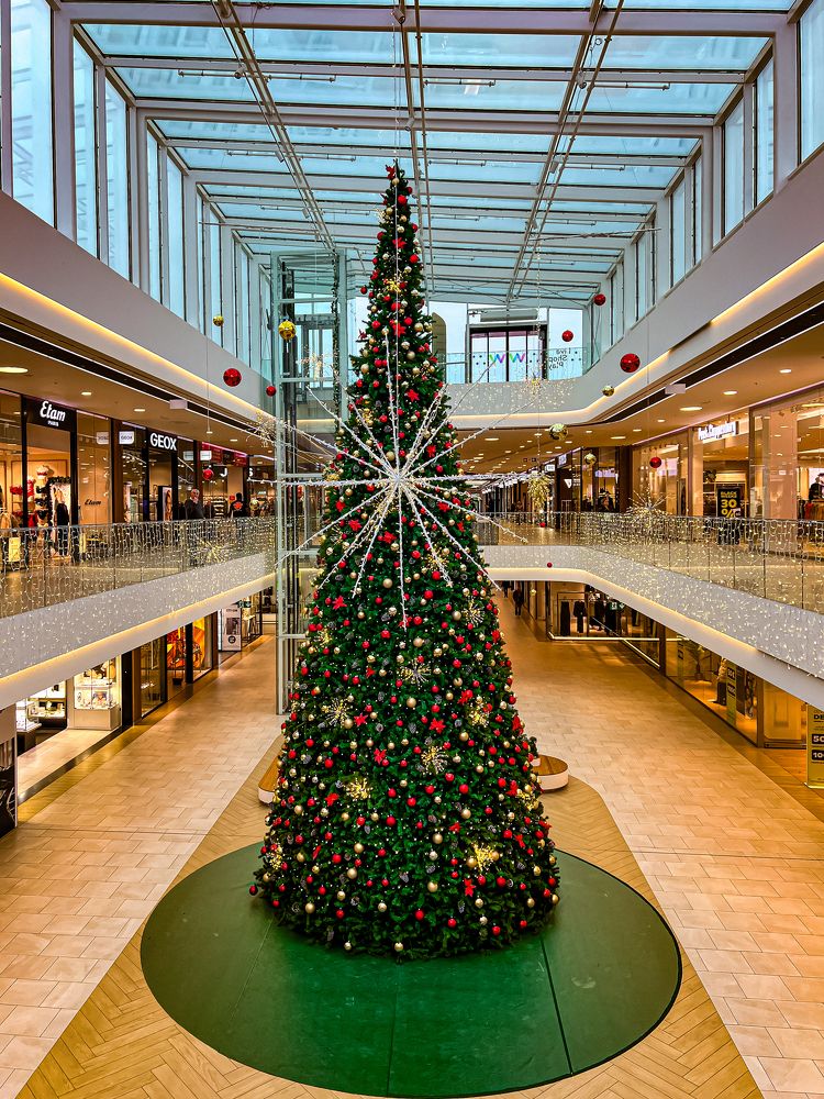 Photograph by Anya Lo