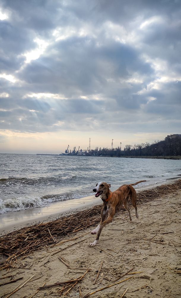 Photograph by Людмила Нанкина