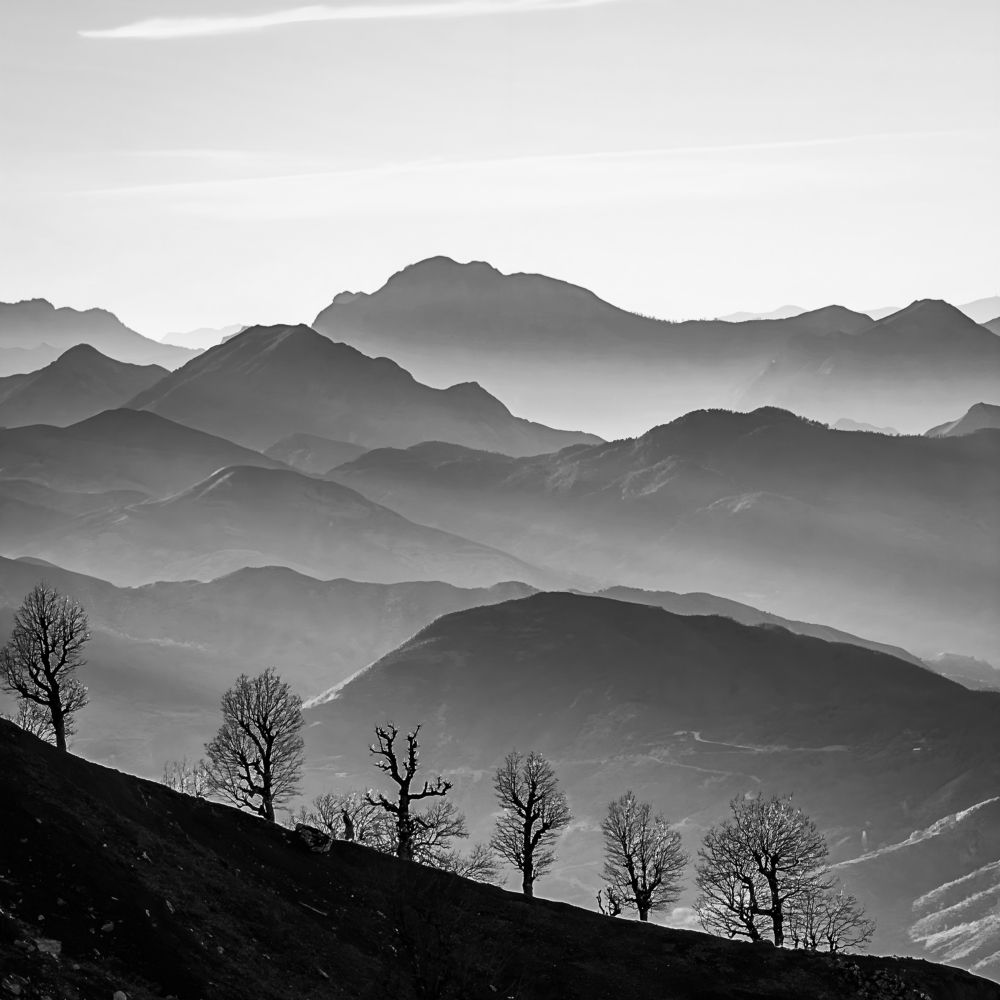 Photograph by Fehd Ghammit