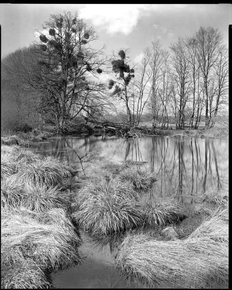 Photograph by Александр Кучин