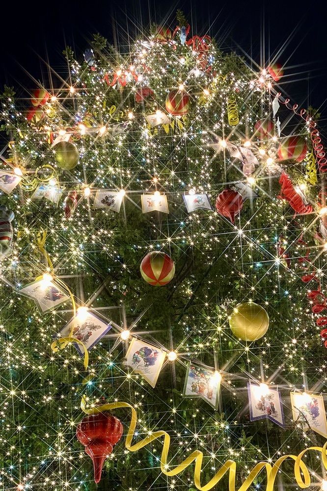 Кронштадтская ёлочка