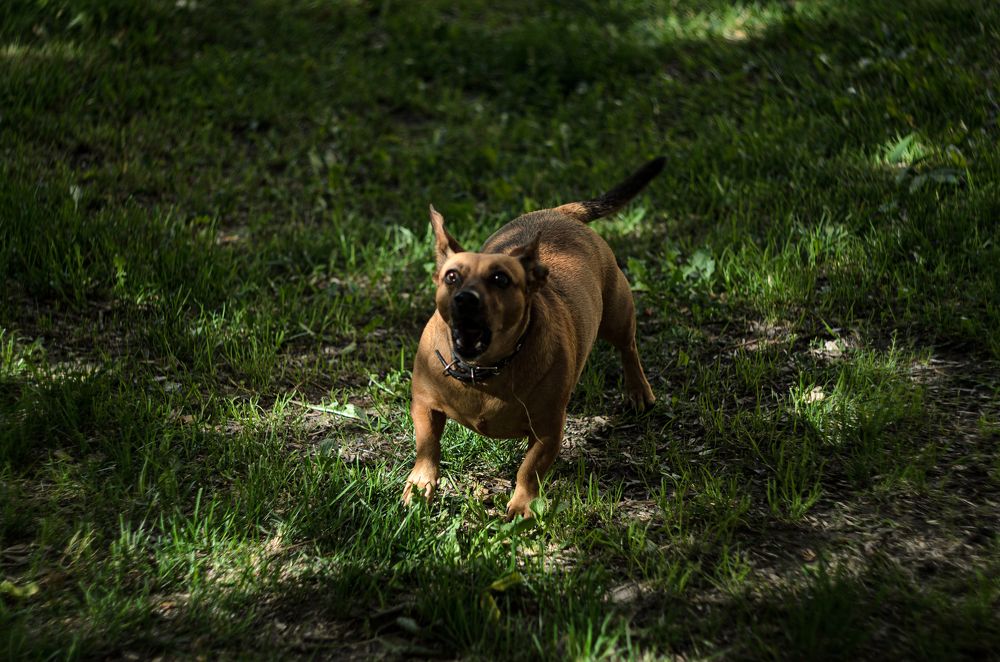 Photograph by Елена Берсенёва