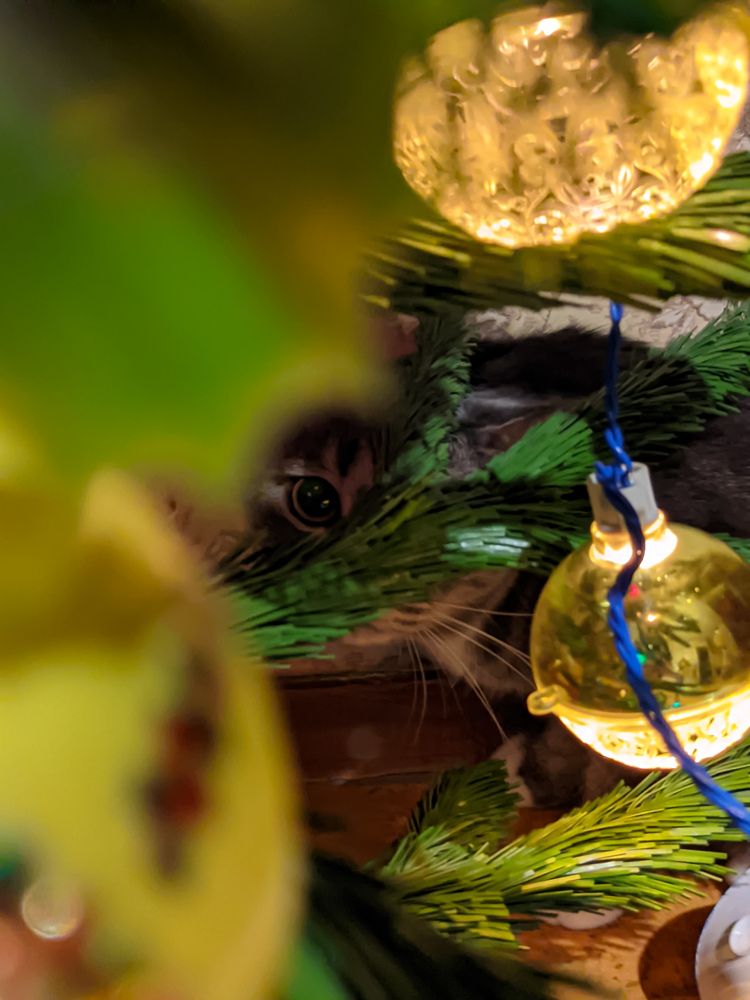 Photograph by Дарья